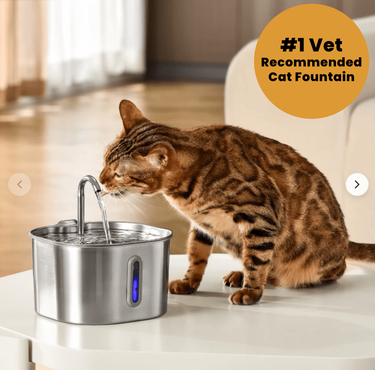 KittyFountain™ Cat Water Fountain